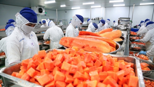 Ngành rau quả Việt Nam bứt phá, kỳ vọng chạm mốc 8 tỷ USD xuất khẩu