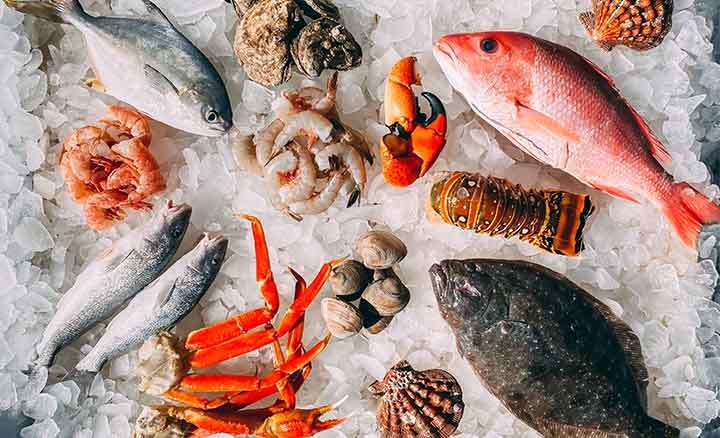 Thuế cao, thẻ vàng và MMPA – bài toán sống còn của xuất khẩu thủy sản Việt Nam