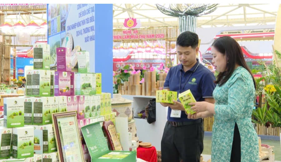 Thanh Hóa: Từ OCOP đến thương hiệu lan tỏa giá trị Việt, nâng tầm nông sản xứ Thanh trên bản đồ thế giới