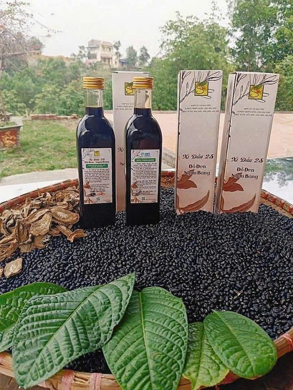 Xì dầu 2S: Đột phá từ đậu đen xanh lòng và rễ ngưu bàng, khẳng định giá trị dược liệu trong thực phẩm Việt Xì dầu 2S: Đột phá từ đậu đen xanh lòng và rễ ngưu bàng, khẳng định giá trị dược liệu trong thực phẩm Việt