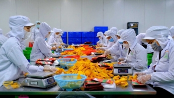 Đẩy mạnh chế biến sâu: Hướng đi nâng tầm thương hiệu nông sản Việt