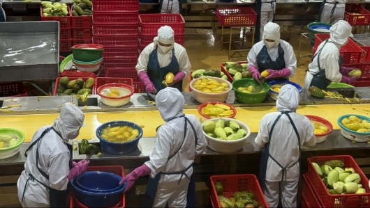 Xuất khẩu rau quả bứt phá, 11 tháng đã vượt thành tích cả năm 2024 gần 640 triệu USD