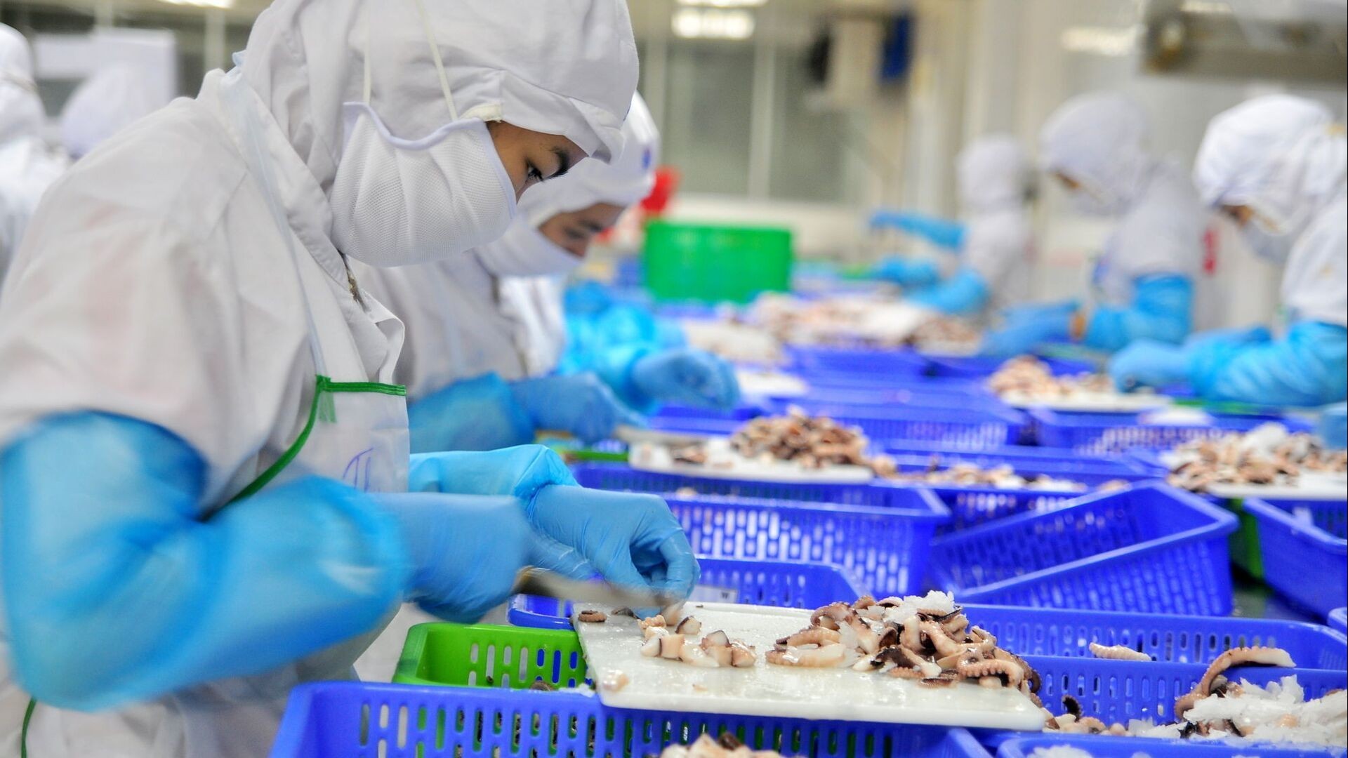 Xuất khẩu thủy sản bứt phá: Dự kiến lập kỷ lục hơn 11 tỷ USD trong năm 2025