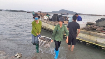 Đề xuất gỡ vướng thuế VAT cho hàng nông, thủy sản