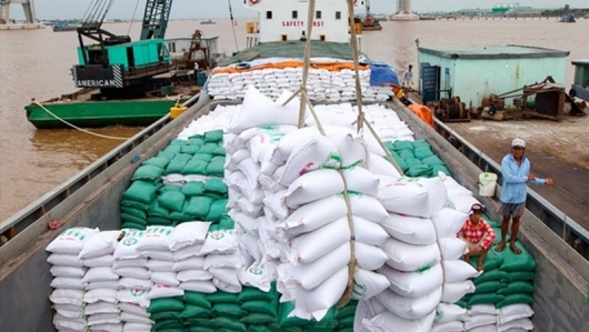 Senegal tạm dừng nhập khẩu gạo để ưu tiên tiêu thụ hàng nội địa