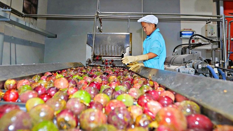 Xuất khẩu chanh leo vượt 200 triệu USD, hướng tới ngành hàng tỷ đô Xuất khẩu chanh leo vượt 200 triệu USD, hướng tới ngành hàng tỷ đô