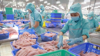 Xuất khẩu cá tra Việt Nam vượt mốc 2 tỷ USD