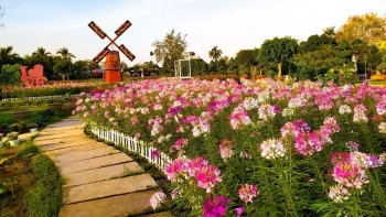 Làng hoa Sa Đéc – Hơn một thế kỷ giữ sắc hương trên đất phù sa