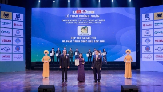 HTX Bảo tồn và Phát triển Dược liệu Sóc Sơn: Khẳng định vị thế từ chiến lược quản trị Tài sản Sở hữu trí tuệ bền vững