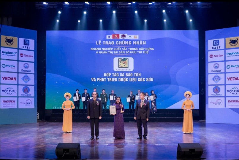 HTX Bảo tồn và Phát triển Dược liệu Sóc Sơn: Khẳng định vị thế từ chiến lược quản trị Tài sản Sở hữu trí tuệ bền vững