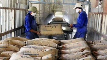 SSI Research: Xuất khẩu xi măng chịu ảnh hưởng từ nguồn cung Trung Quốc