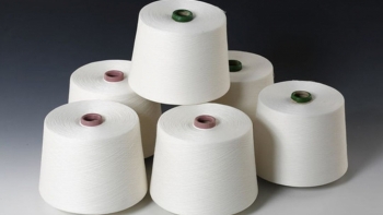 Ấn Độ tổ chức phiên điều trần trong vụ việc điều tra CBPG với sợi polyeste có xuất xứ từ Việt Nam
