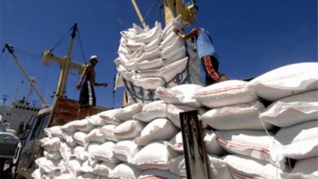 Dự báo Việt Nam vẫn đứng thứ 2 thế giới về xuất khẩu gạo