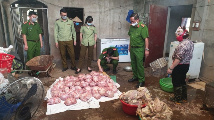 Thái Nguyên: Tiêu hủy hơn 3 tấn gà thịt đã bốc mùi hôi thối