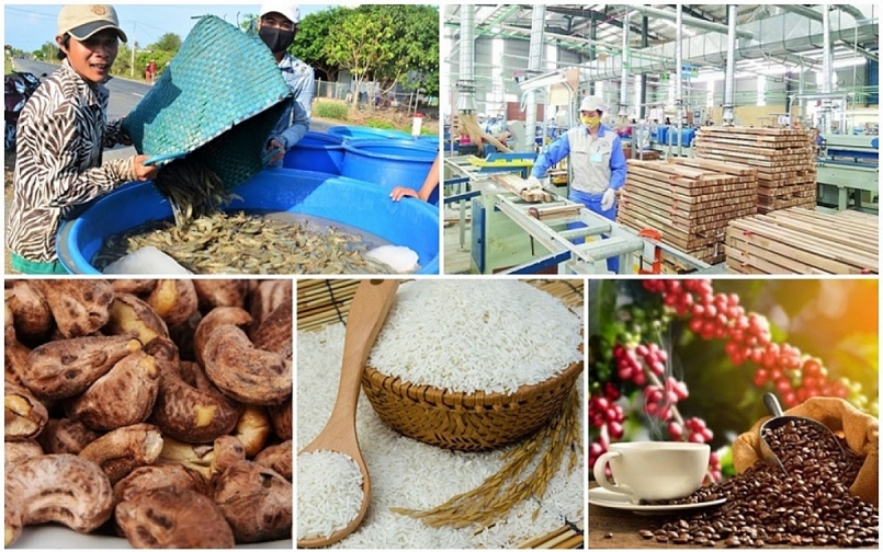 Việt Nam xuất siêu 3,27 tỷ USD hàng nông sản trong 5 tháng