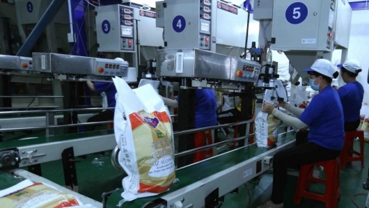 Xuất khẩu gạo 5 tháng đầu năm giảm cả về lượng và giá trị