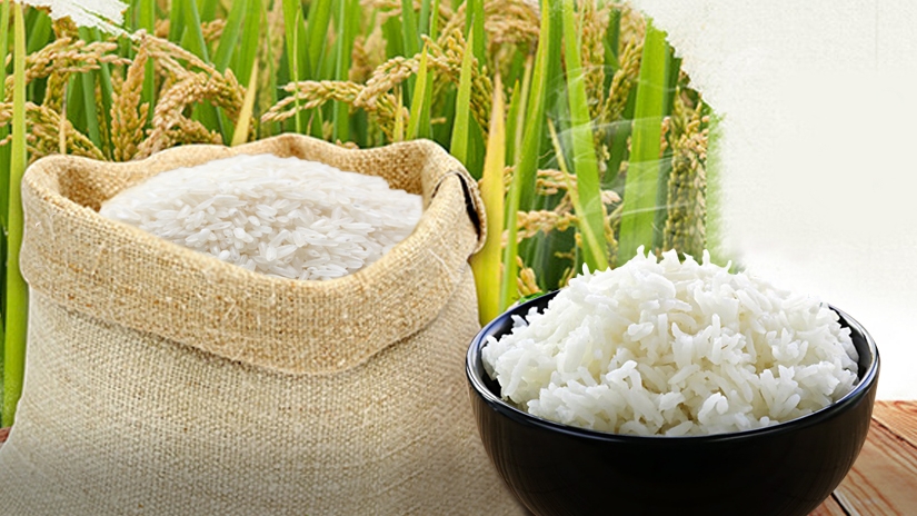 Giá gạo hôm nay 15/6: Xu hướng giảm nhẹ