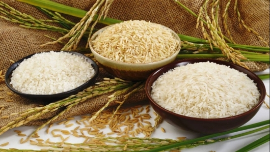 Giá gạo hôm nay 16/6: Xu hướng tăng nhẹ