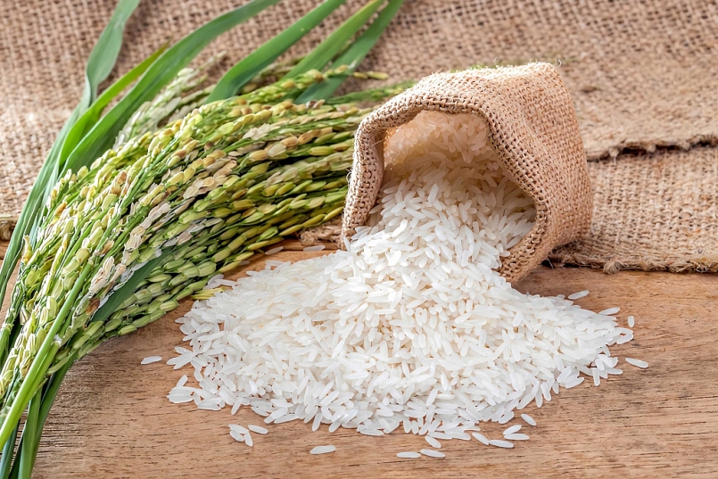 Philippines giảm thuế nhập khẩu gạo: Cơ hội và thách thức cho xuất khẩu gạo Việt