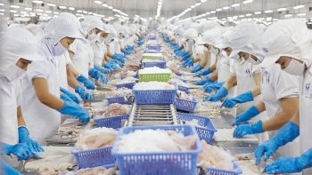 Tín hiệu tích cực cho xuất khẩu cá tra sang thị trường Mỹ