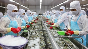 Xuất khẩu tôm sang Mỹ tăng gần 50% trong nửa đầu năm 2021