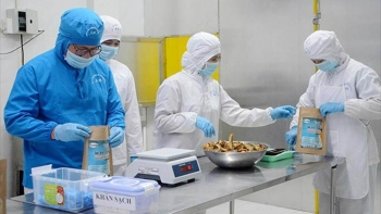 VASEP: Doanh nghiệp thủy sản muốn được lựa chọn hình thức kiểm dịch