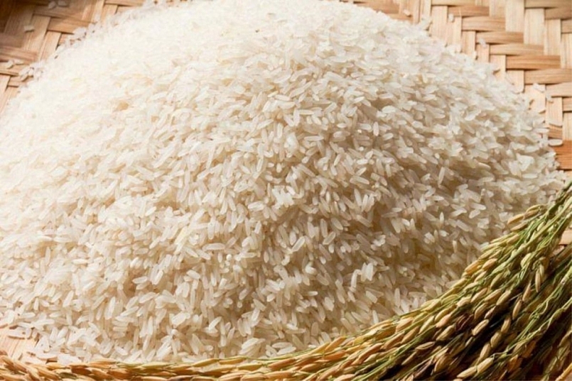 Giá gạo hôm nay 10/7: Gạo nguyên liệu xuất khẩu tăng nhẹ