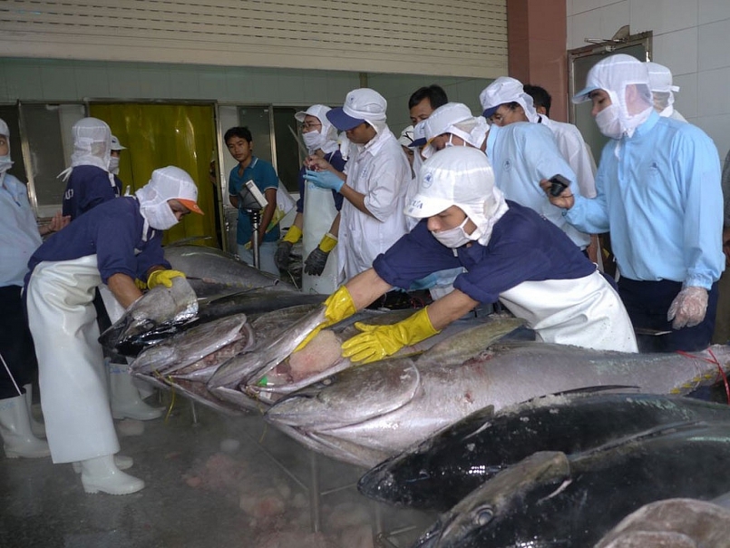 Xuất khẩu cá ngừ sang Trung Đông tăng 7%