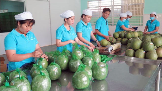 Mỹ là thị trường nhập khẩu đầy tiềm năng đối với trái cây Việt Nam