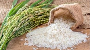 Giá gạo hôm nay 26/7: Giá gạo xuất khẩu giảm mạnh