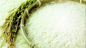 Giá gạo hôm nay 27/7: Xu hướng ổn định