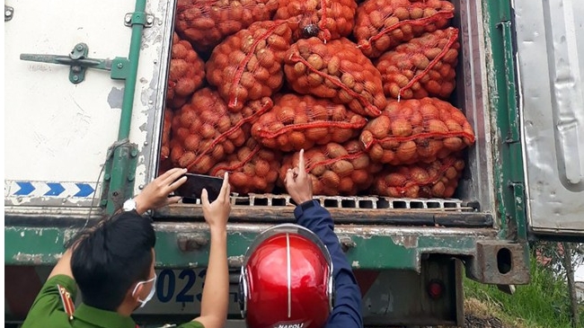 Đà Lạt: Phát hiện xe container chở 29 tấn khoai tây Trung Quốc không hóa đơn chứng từ