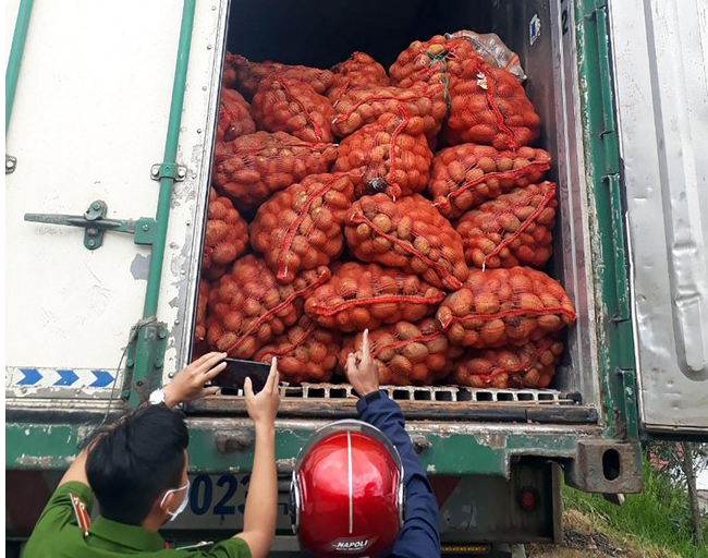  Lực lượng chức năng kiểm tra, lấy mẫu khoai tây được phát hiện trong 2 xe container vận chuyển từ Lào Cai về Đà Lạt. Ảnh: Vietnamnet