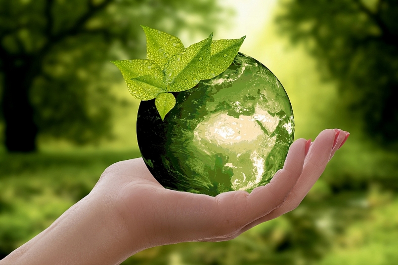 Bảo vệ môi trường góp phần phát triển kinh tế bền vững của đất nước