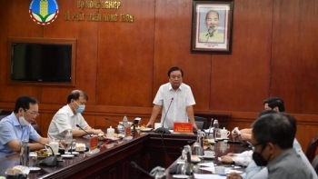 Tháo gỡ khó khăn trong sản xuất, tiêu thụ lúa gạo ĐBSCL