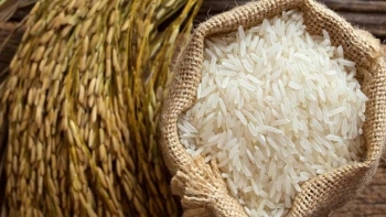 Giá gạo hôm nay 9/8: Duy trì ổn định