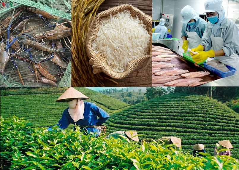 Thị trường Algeria và Senegal ưa chuộng nhiều nông sản Việt