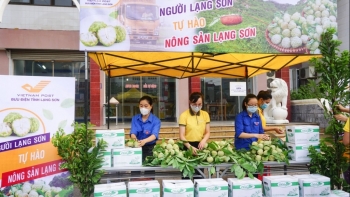 Vận chuyển "đồng giá" na Lạng Sơn đến 20 tỉnh, thành phố phía Bắc