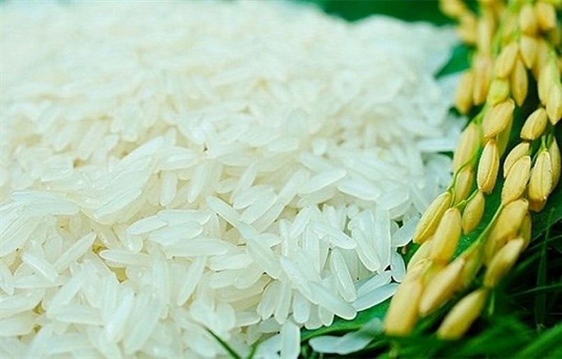 Giá gạo hôm nay 18/8: Xu hướng giảm