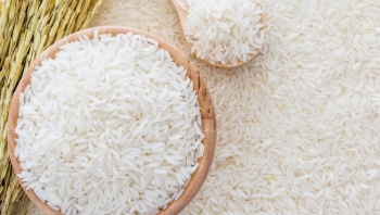 Cập nhật giá gạo hôm nay 3/10: Hoạt động xuất khẩu gạo trầm lắng