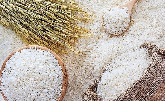 Cập nhật giá gạo hôm nay 26/10: Đầu tuần trầm lắng