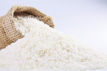 Cập nhật giá gạo hôm nay 20/11: Ổn định