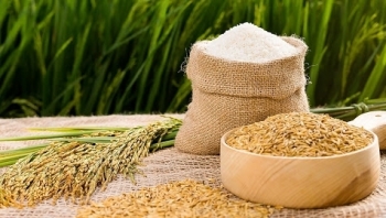 Cập nhật giá gạo hôm nay 21/11: Tiếp tục giảm