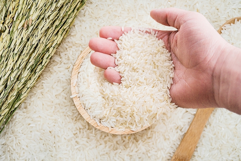 Cập nhật giá gạo hôm nay 2/12: Tăng trở lại