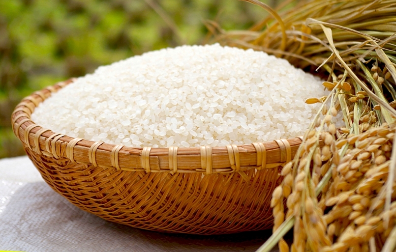 Cập nhật giá gạo hôm nay 3/12: Tăng 100 đồng/kg