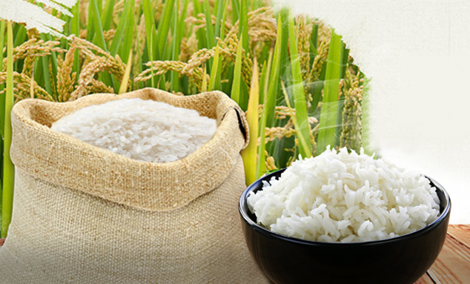 Cập nhật giá gạo hôm nay 8/12: Ổn định