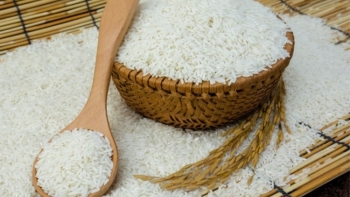 Cập nhật giá gạo hôm nay 11/12: Tăng nhẹ