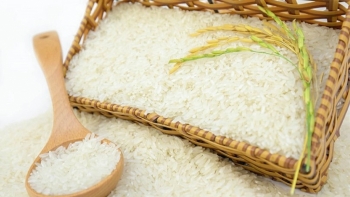 Cập nhật giá gạo hôm nay 14/12: Đầu tuần ổn định