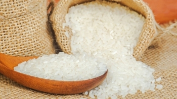 Cập nhật giá gạo hôm nay 15/12: Chưa có biến động