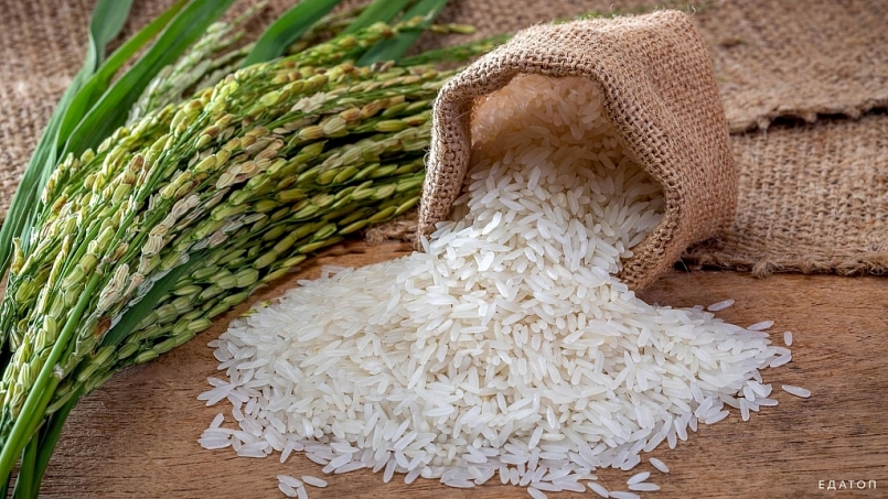 Cập nhật giá gạo hôm nay 17/12: Duy trì ổn định